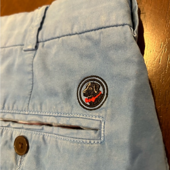 Light Blue Southern Proper Shorts - Picture 4 of 4